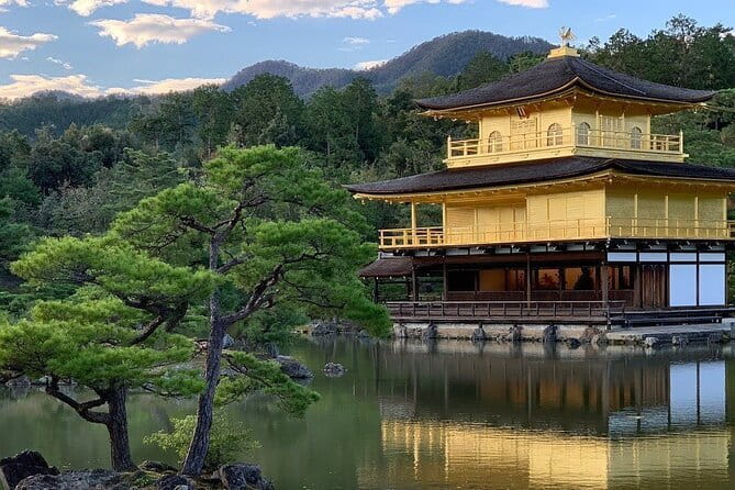 Guided Kyoto City Cherry Blossom One Day Private Tour - Transportation and Accessibility