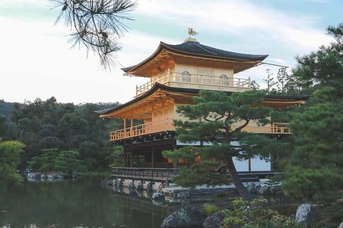 Guided Kyoto City Cherry Blossom One Day Private Tour - Inclusions