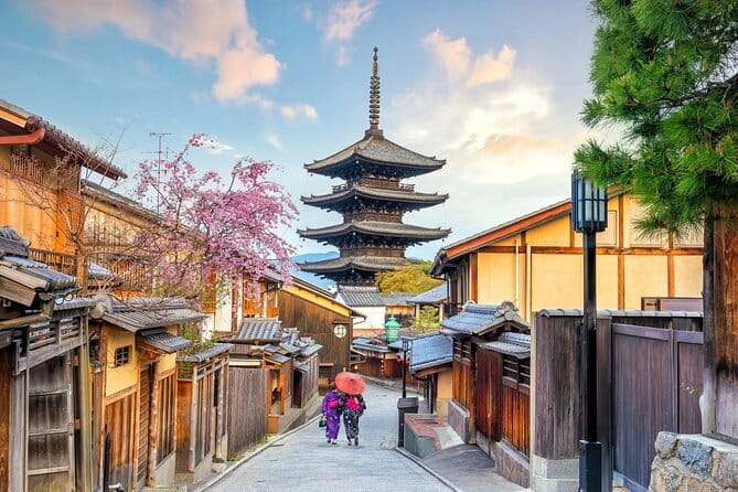 Guided Kyoto City Cherry Blossom One Day Private Tour - Booking Information