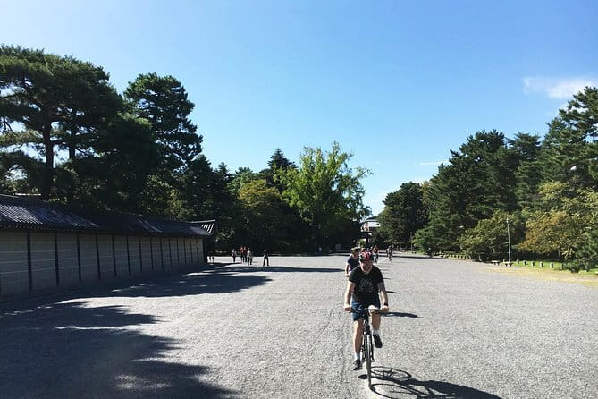 Guided Kyoto City Cherry Blossom One Day Private Tour - Highlights of the Day Tour