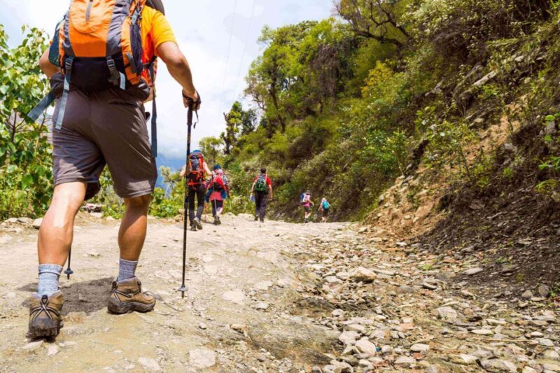 Guided Lama Dugh Hike in Manali - Trek Details