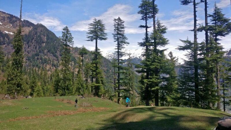 Guided Lama Dugh Hike in Manali - Guided Experience