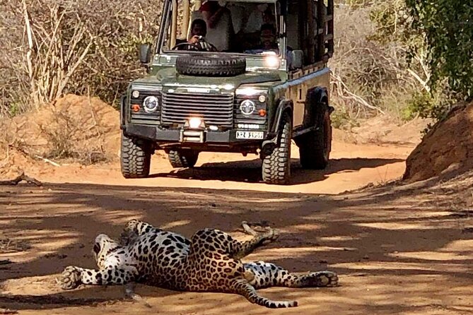 Guided Leopard Safari in Yala National Park in a Land Rover Defender - Booking and Additional Information