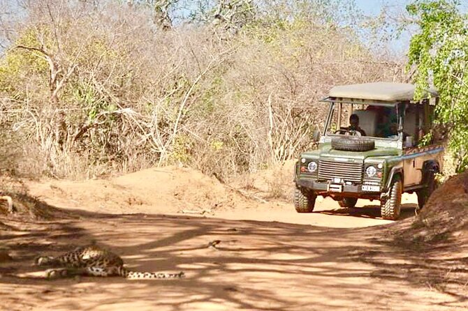 Guided Leopard Safari in Yala National Park in a Land Rover Defender - Photographic Opportunities and Low-Angle Views