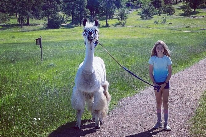 Guided Llama Hike in the Rocky Mountains - Health and Safety Information