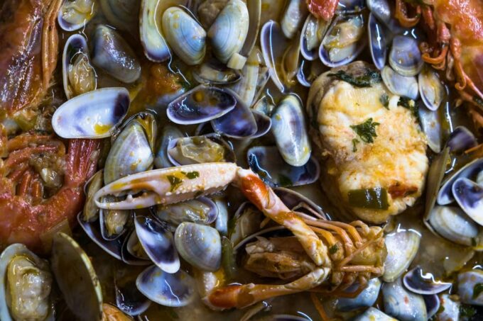 Guided Marine Life Excursion in Estepona - Coastal Areas Explored