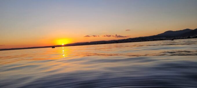 Guided Marine Life Excursion in Estepona - Ideal for Families and Nature Lovers