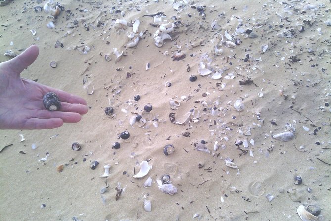 Guided Marine Walk: - Sardinia Bay (Marine Protected Area) - 3 Hours - Experience Highlights