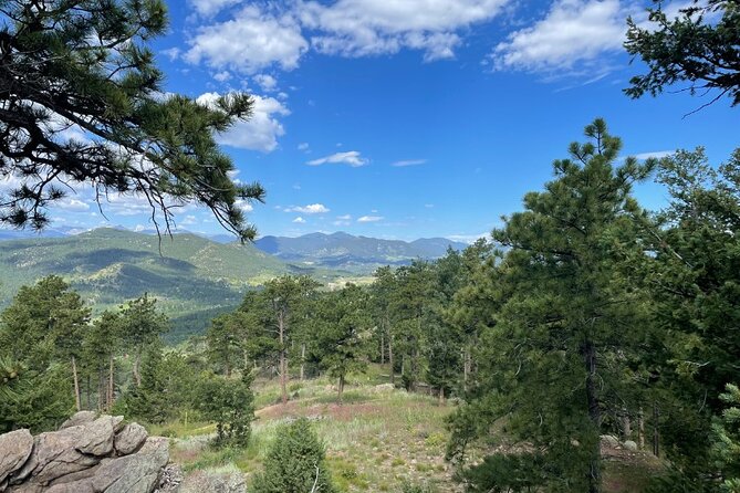 Guided Morning Hike With Pastries in Denver - Pastry Experience