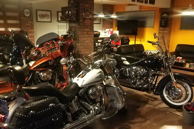 Guided Motorcycle Private Tour - Participation Requirements