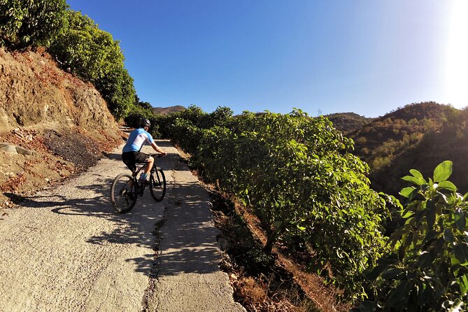 Guided Mountain Bike Adventure - Exploring Andalucian Nature