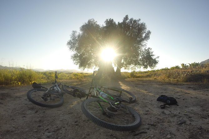 Guided Mountain Bike Route - Pata Negra Tour - What to Expect
