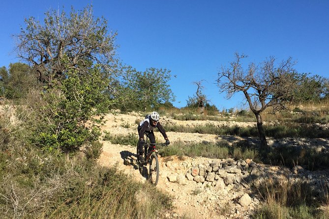 Guided Mountain Bike Route - Pata Negra Tour - Booking Information