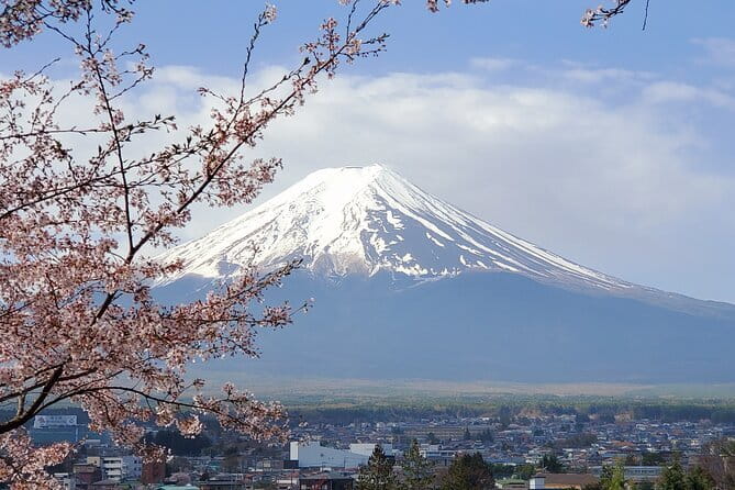 Guided Mt. Fuji & Hakone Tour Bullet Train Return GREEN NUMBER - Inclusions