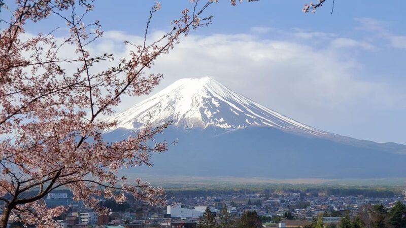Guided Mt. Fuji & Hakone Tour GREEN NUMBER PLATES - Key Points