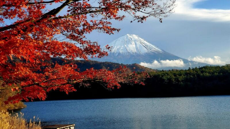 Guided Mt. Fuji & Hakone Tour GREEN NUMBER PLATES - Kitaguchi-Hongu Fuji Sengen Shrine