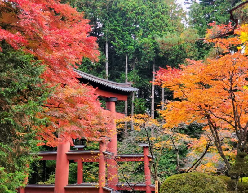 Guided Mt Fuji Private Tour GREEN NUMBER PLATES - Important Information