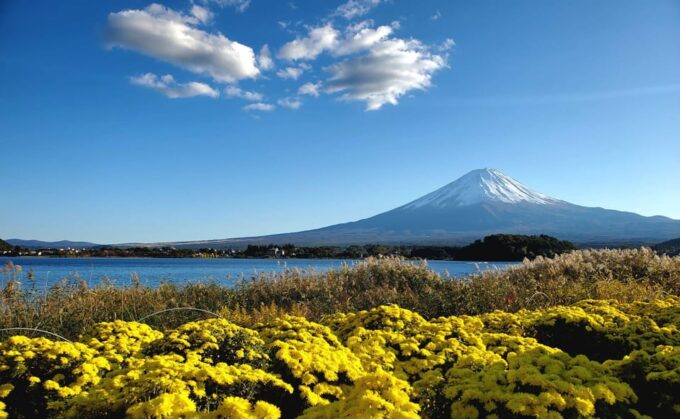 Guided Mt Fuji Private Tour GREEN NUMBER PLATES - Oshino Hakkai