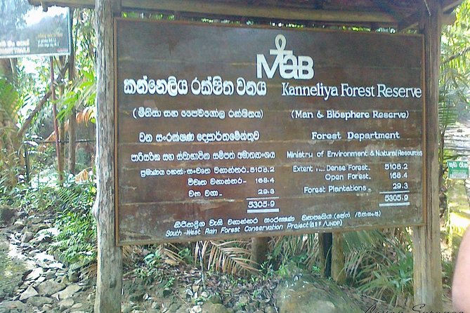 Guided Nature Trail to Kanneliya Forest - Getting to the Trailhead
