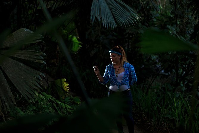 Guided Night Hike Arenal Mundo Aventura - Key Points