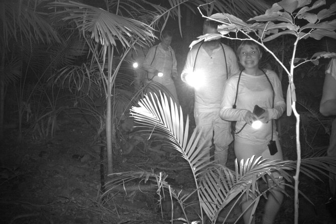 Guided Night Walk in Cape Tribulation - Included Gear and Supplies
