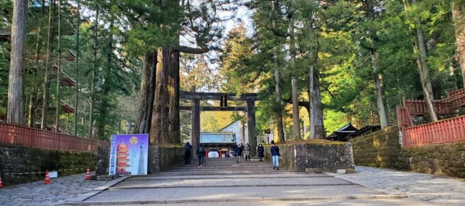 Guided Nikko Private Tour GREEN NUMBER PLATES - Shinkyo Bridge