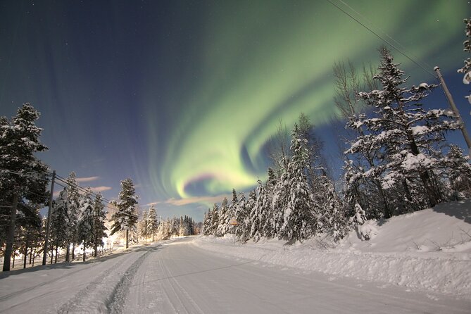 Guided Northern Lights Tour at Kiruna - Overview and Experience