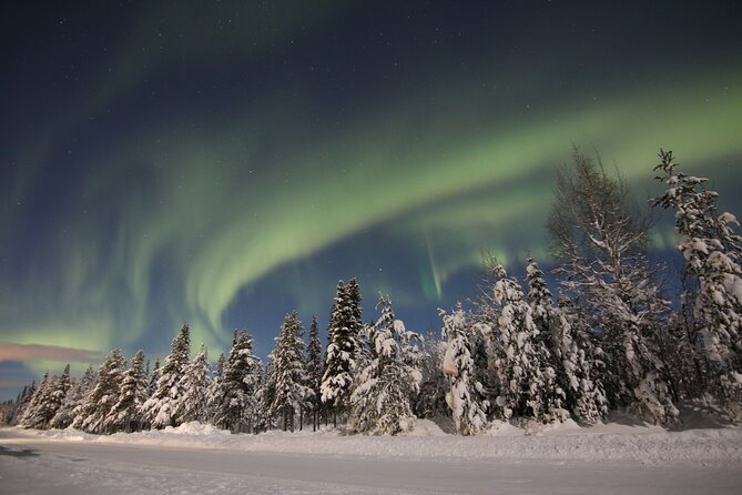Guided Northern Lights Tour at Kiruna - Customer Feedback and Policies