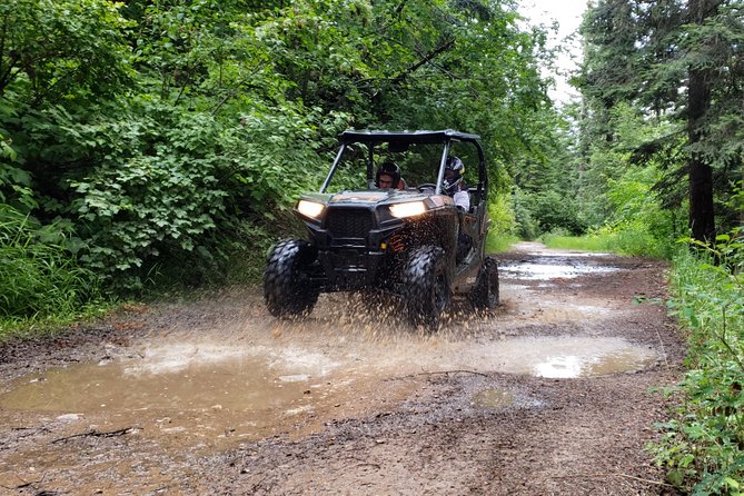 Guided Off-Road Vehicle Tours in North Idaho Forests - Tour Highlights
