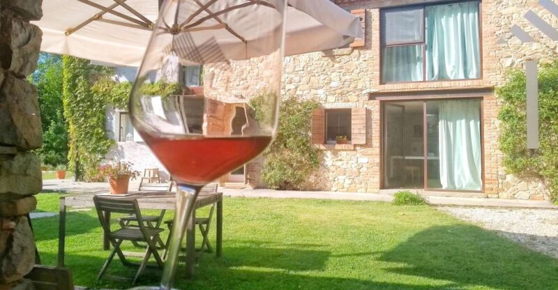 Guided Olive Oil & Wine Tour From Padua - Itinerary and Activities