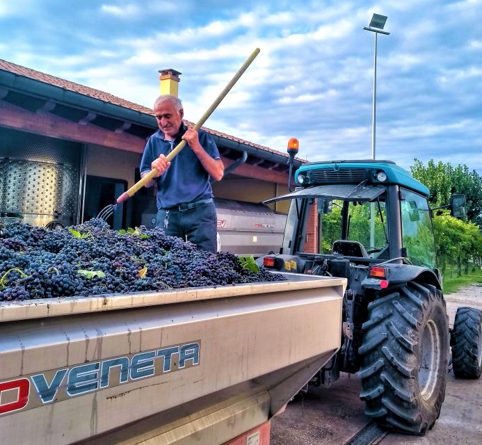 Guided Olive Oil & Wine Tour From Padua - Logistics and Transportation
