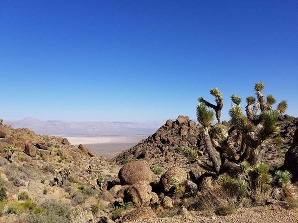 Guided or Self-Guided Road Bike Tour of Red Rock Canyon - Bike Types and Tour Options