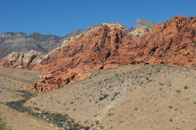 Guided or Self-Guided Road Bike Tour of Red Rock Canyon - Physical Fitness Level Needed