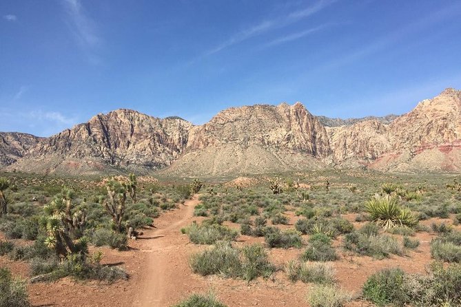 Guided or Self-Guided Road Bike Tour of Red Rock Canyon - Guided Tour Details