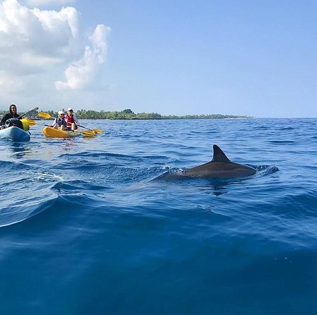 Guided Outrigger Canoe Tour in Kealakekua Bay - Cancellation Policy