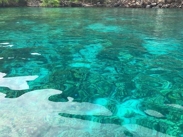 Guided Outrigger Canoe Tour in Kealakekua Bay - Encountering Marine Life