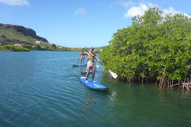 Guided Paddleboarding (Sup) Mangrove ECO Tour for Beginners - Overview of the Eco Tour