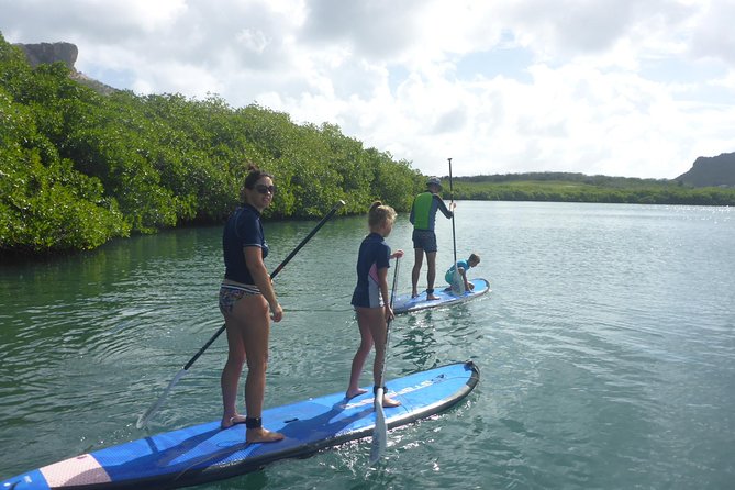 Guided Paddleboarding (Sup) Mangrove ECO Tour for Beginners - Participant Requirements and Restrictions