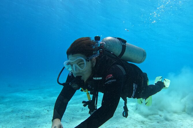 Guided Padi Discover Scuba Diving for Non-Certified Divers - Meeting Point and Transportation
