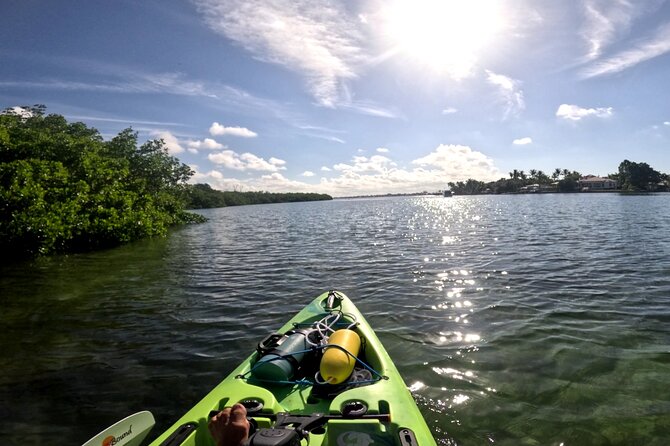Guided Pedal Kayaking Tour - Additional Information