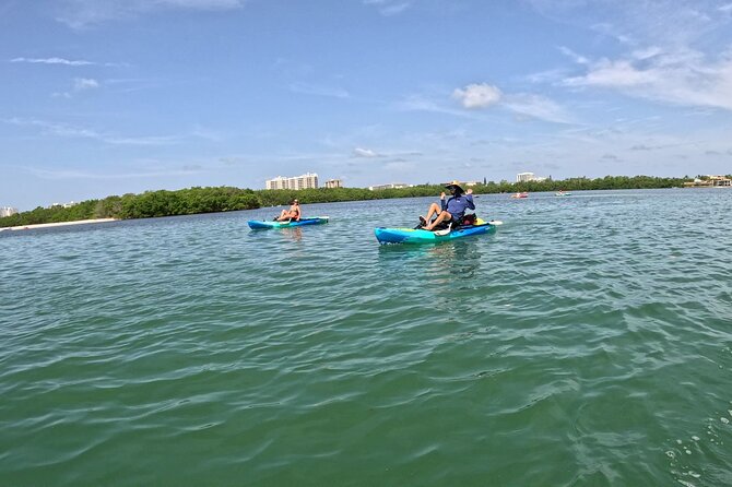 Guided Pedal Kayaking Tour - Booking and Availability