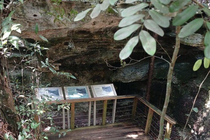 Guided Primeval Nature Walk Tour in Primeval Forest National Park - The Sum Up