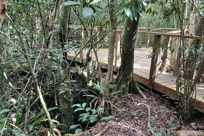 Guided Primeval Nature Walk Tour in Primeval Forest National Park - FAQ