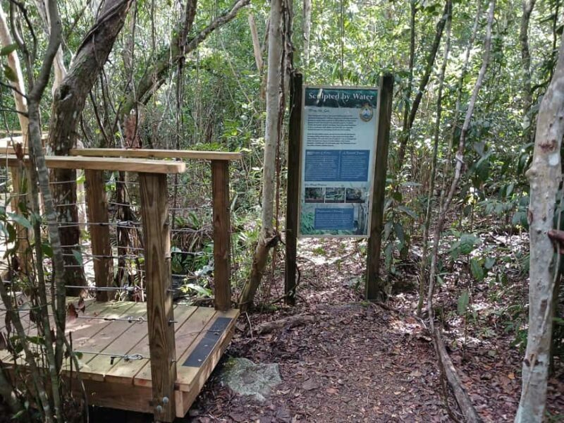Guided Primeval Nature Walk Tour - A Relaxing Break at Jaws Beach