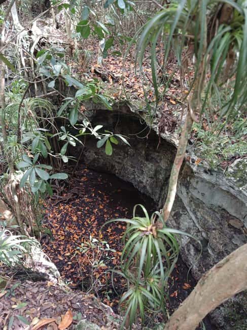 Guided Primeval Nature Walk Tour - What Some Travelers Say