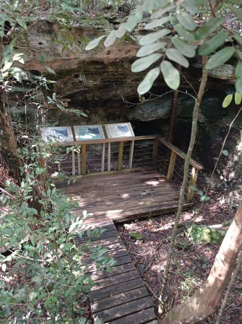 Guided Primeval Nature Walk Tour - The Sum Up