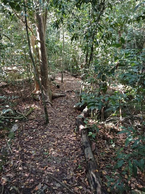 Guided Primeval Nature Walk Tour - FAQ