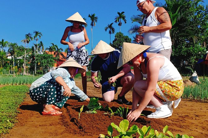 Guided Private Hoi an Countryside Tour - Meeting and Pickup