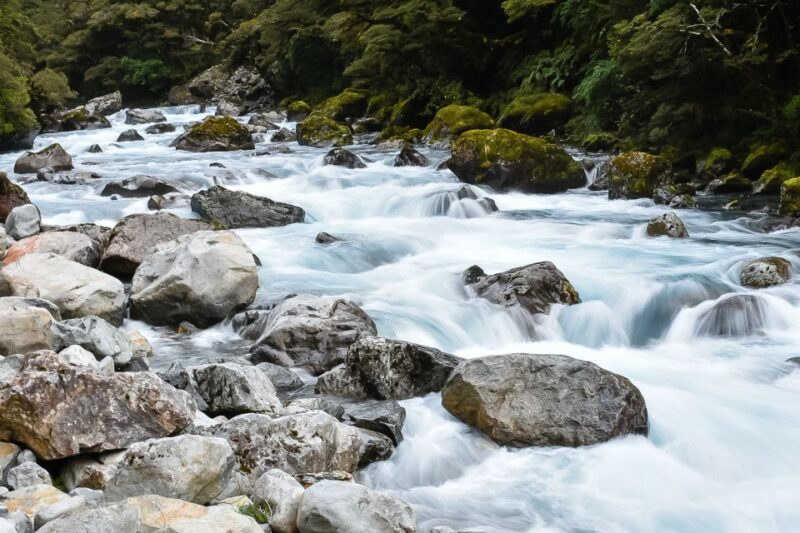 Guided Private Milford Sound Day Tour From Te Anau(Cruise in - Customer Feedback