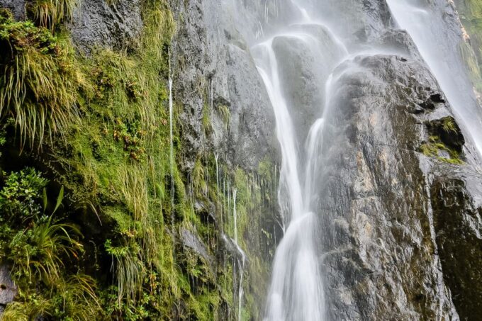 Guided Private Milford Sound Day Tour From Te Anau(Cruise in - Highlights of the Tour